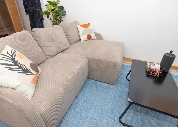 Stylish Old Town With Infrared Sauna لينتز